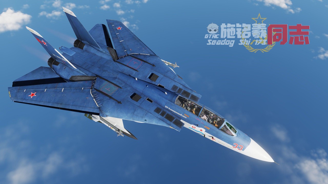 F-14B苏联海军航空兵涂装