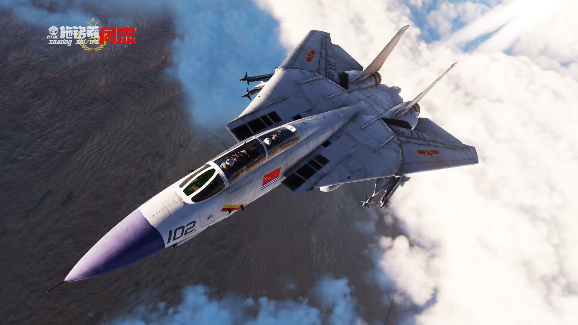 F-14B飞鲨涂装 拍摄者：SVFI